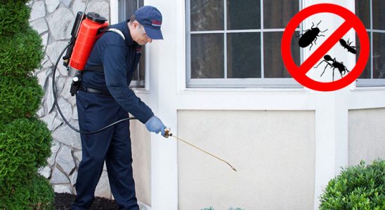 Körfez Kemirgen İlaçlama böcek ilaçlama ve haşere kontrolü — ilaclama-tr.com